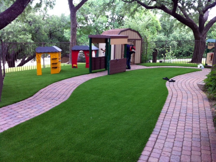 Fake Lawn Pinal, Arizona Roof Top, Commercial Landscape