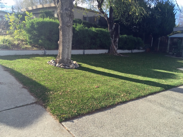 Fake Lawn Young, Arizona Paver Patio, Front Yard Ideas