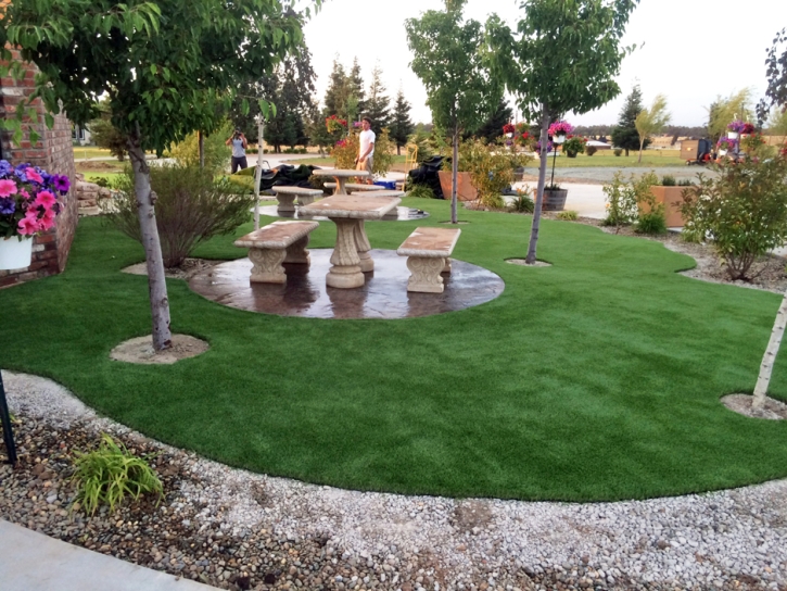 Fake Turf Blackwater, Arizona Playground Flooring, Commercial Landscape