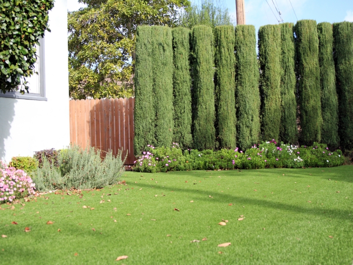 Fake Turf Bowie, Arizona Landscape Photos, Front Yard Landscaping Ideas