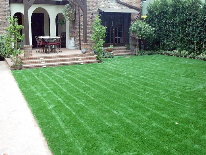 Fake Turf Christopher Creek, Arizona Landscape Design, Front Yard Ideas