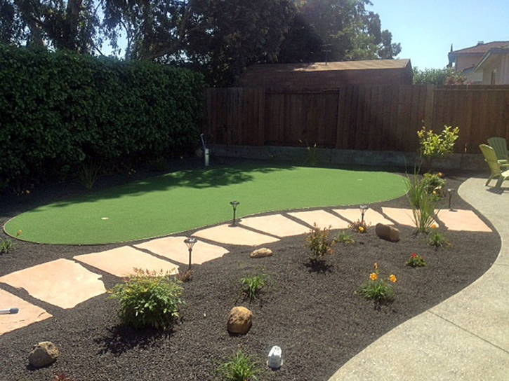 Fake Turf Drexel Heights, Arizona Putting Greens, Small Backyard Ideas