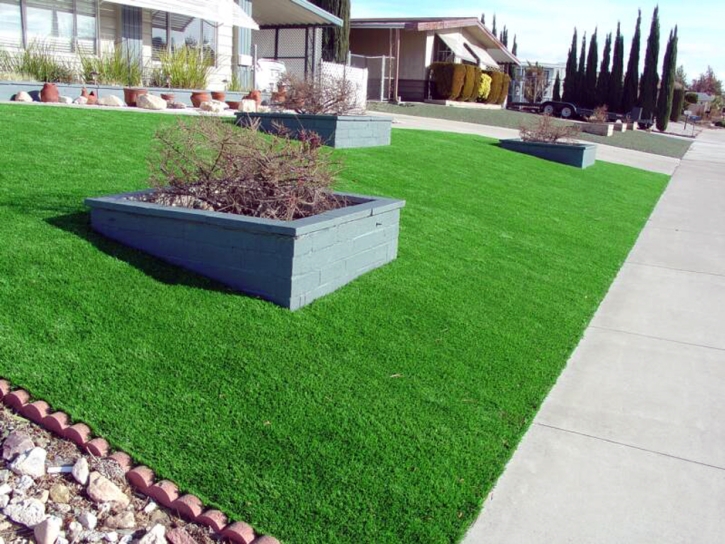 Fake Turf East Fork, Arizona Landscaping, Front Yard