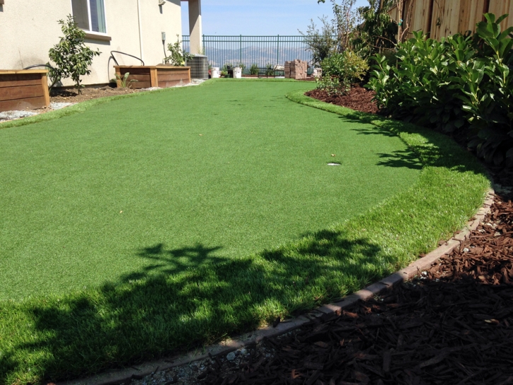 Fake Turf Gila Crossing, Arizona Landscape Ideas, Backyard Design