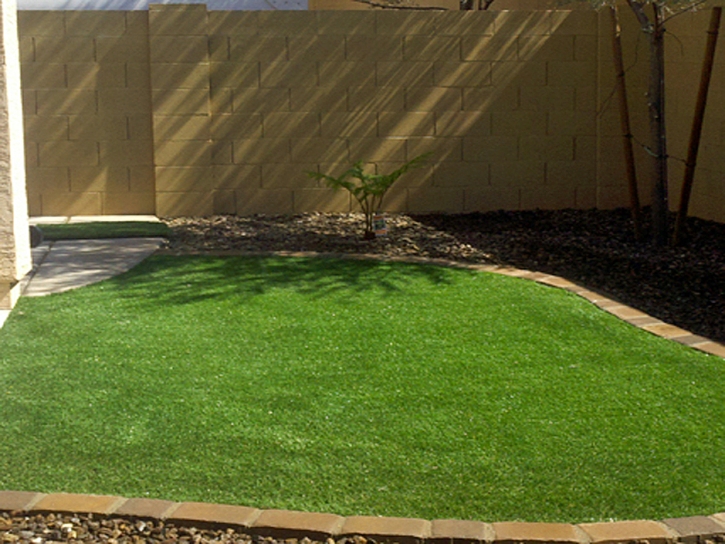 Fake Turf Maish Vaya, Arizona Backyard Playground, Backyard Ideas