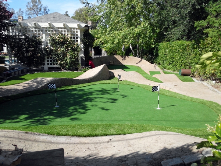 Fake Turf San Simon, Arizona Putting Green Flags, Small Backyard Ideas