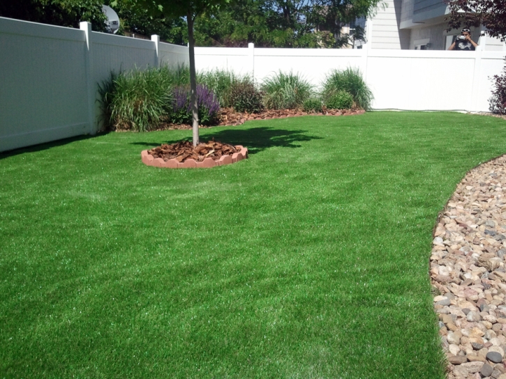 Fake Turf Sonoita, Arizona Lawn And Landscape, Backyard Makeover