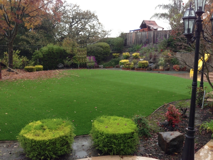 Fake Turf Wilhoit, Arizona Landscaping, Backyard Makeover