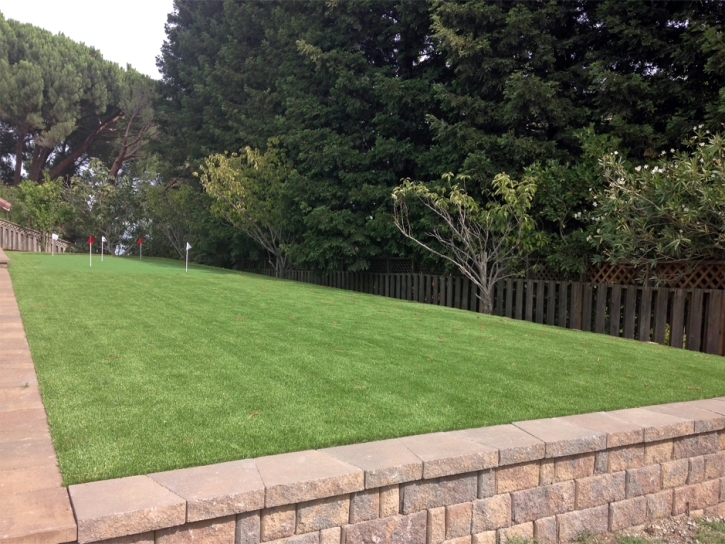 Faux Grass Arlington, Arizona Landscaping Business, Backyard