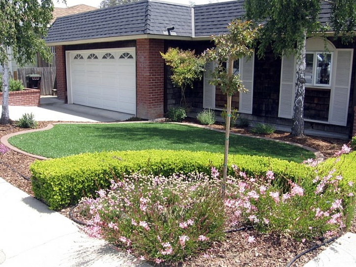 Faux Grass Cave Creek, Arizona Lawn And Garden, Front Yard Ideas