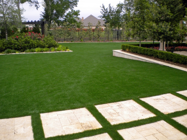 Faux Grass Comobabi, Arizona Landscape Ideas, Backyard Landscape Ideas