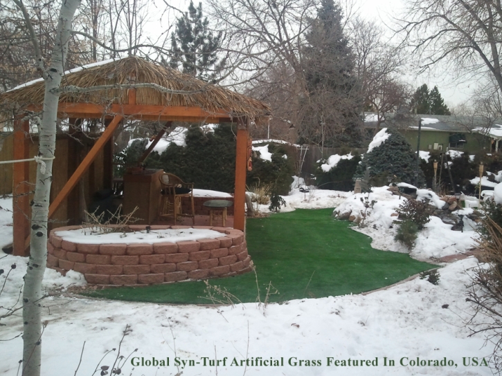 Faux Grass Corona de Tucson, Arizona Landscape Design, Backyard Designs