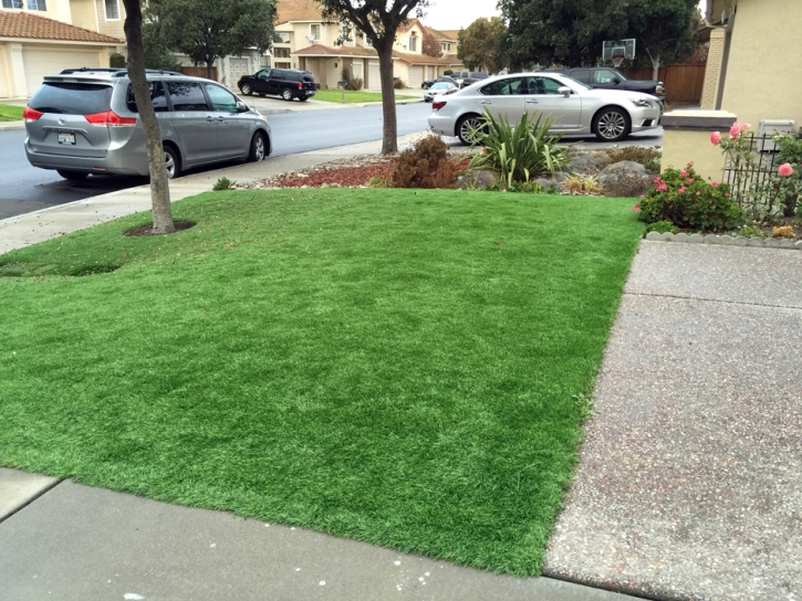 Faux Grass Elfrida, Arizona Landscape Photos, Front Yard Ideas