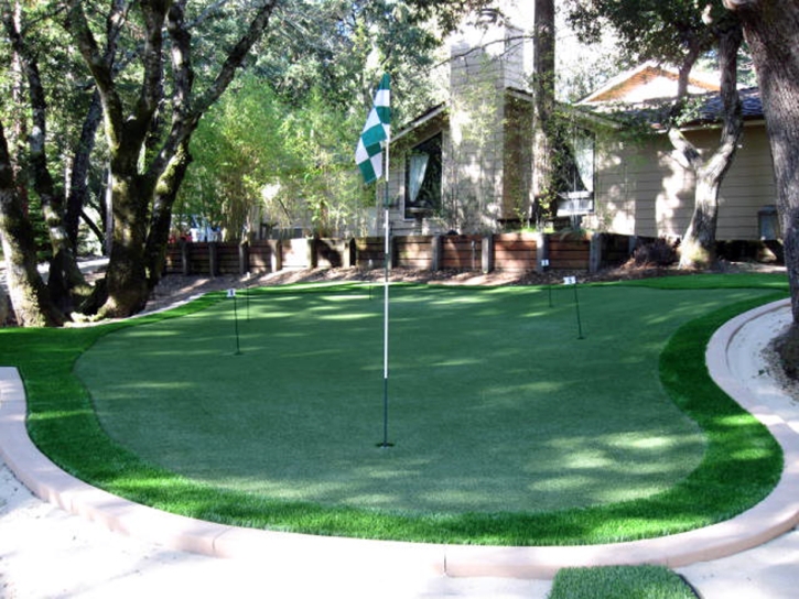 Faux Grass Gu Oidak, Arizona Landscape Rock, Backyard Design