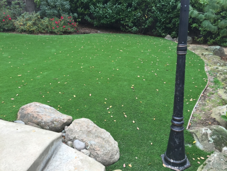 Faux Grass Snowflake, Arizona Landscape Rock, Backyard Garden Ideas