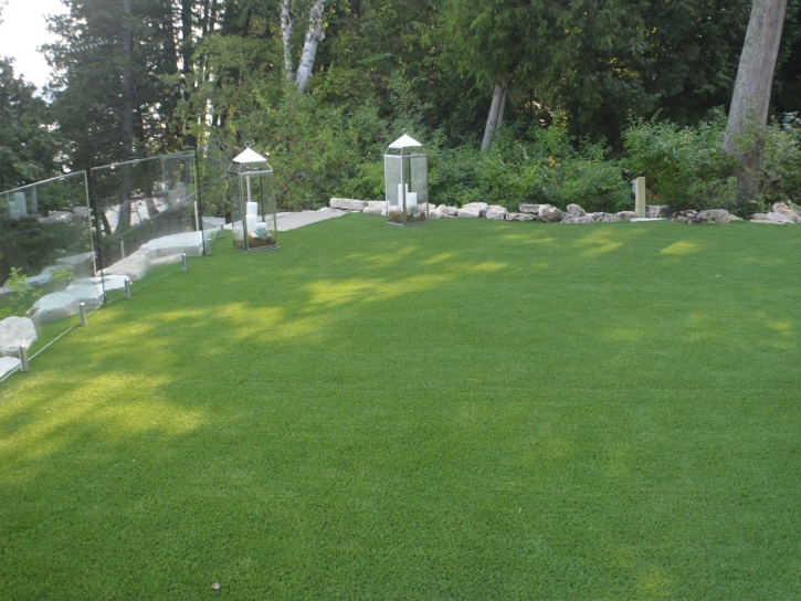 Grass Carpet Campo Bonito, Arizona Garden Ideas, Backyard Garden Ideas