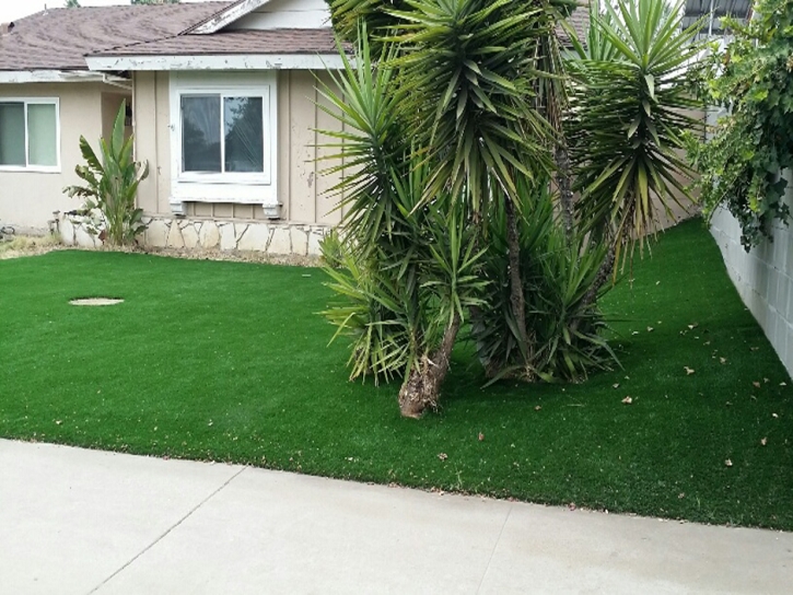 Grass Carpet Charco, Arizona Design Ideas, Front Yard Ideas