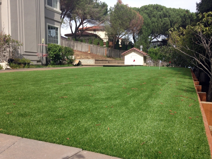 Grass Carpet Gila Bend, Arizona Gardeners, Backyard Landscape Ideas