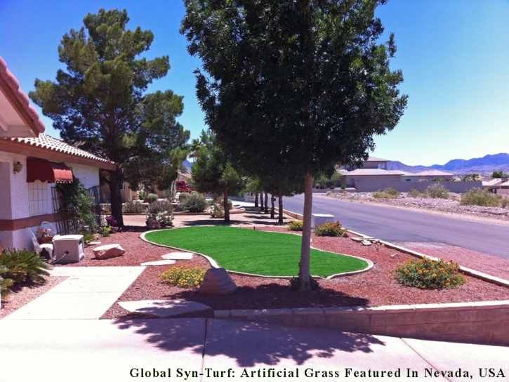 Grass Carpet Littletown, Arizona Landscape Design, Landscaping Ideas For Front Yard