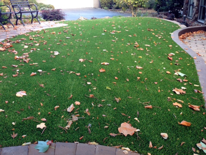 Grass Carpet Red Rock, Arizona Landscape Photos, Front Yard