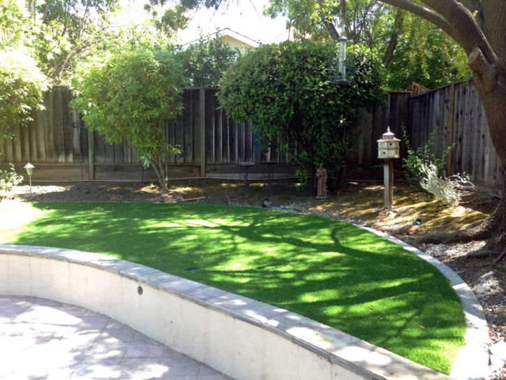 Grass Carpet Snowflake, Arizona Landscaping Business, Commercial Landscape