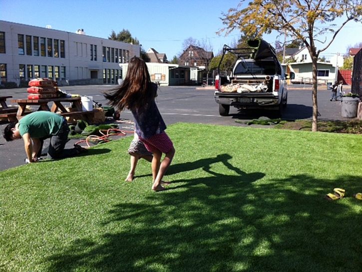 Grass Installation Congress, Arizona Garden Ideas, Commercial Landscape