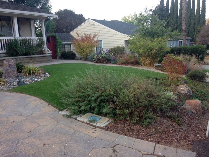 Grass Installation Joseph City, Arizona Home And Garden, Front Yard Ideas