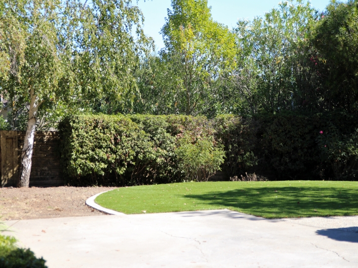 Grass Turf Gila Crossing, Arizona Lawns, Backyards