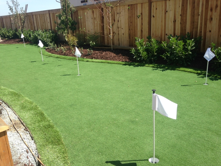 Grass Turf New River, Arizona Putting Green Carpet, Backyard