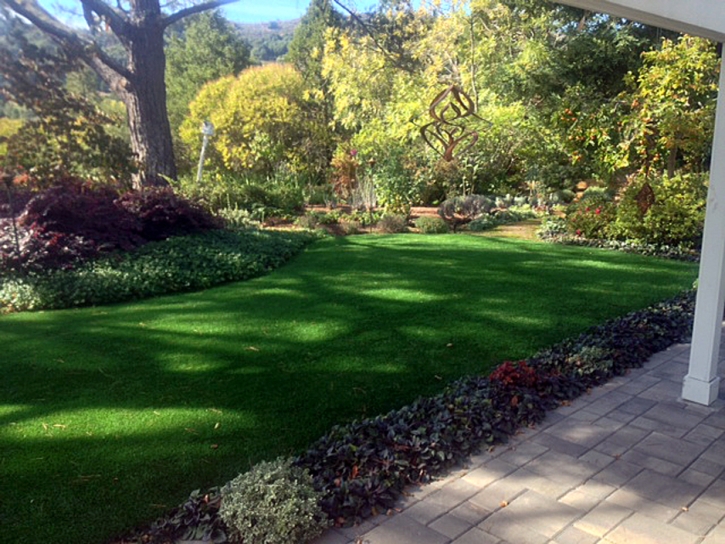 Green Lawn Catalina Foothills, Arizona Landscape Design, Backyard Landscaping Ideas