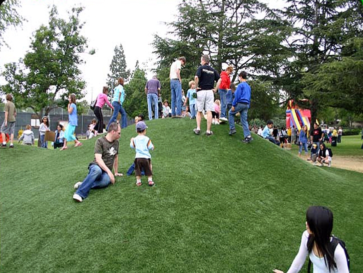 Green Lawn Peridot, Arizona Lawns, Parks