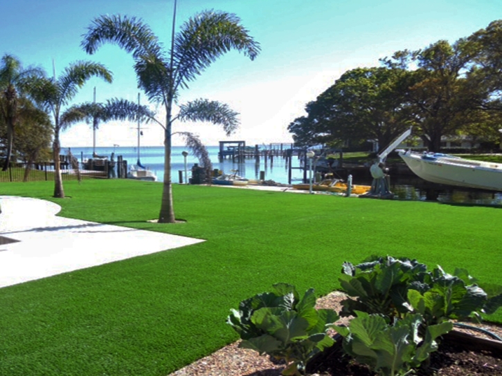 Green Lawn Pine, Arizona Rooftop, Backyard Landscaping