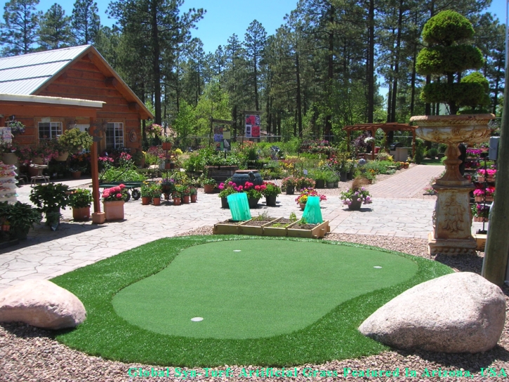 Green Lawn South Tucson, Arizona Indoor Putting Greens, Backyard Garden Ideas