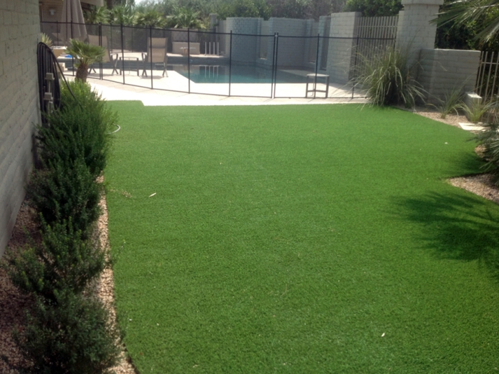 Green Lawn Tucson, Arizona Landscape Ideas, Backyard Landscape Ideas