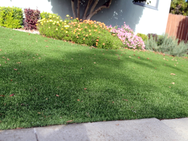 Installing Artificial Grass Santa Rosa, Arizona Backyard Playground, Front Yard Design