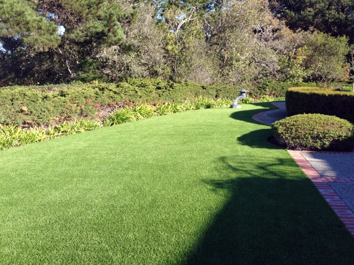 Lawn Services Greer, Arizona Rooftop, Front Yard Landscaping