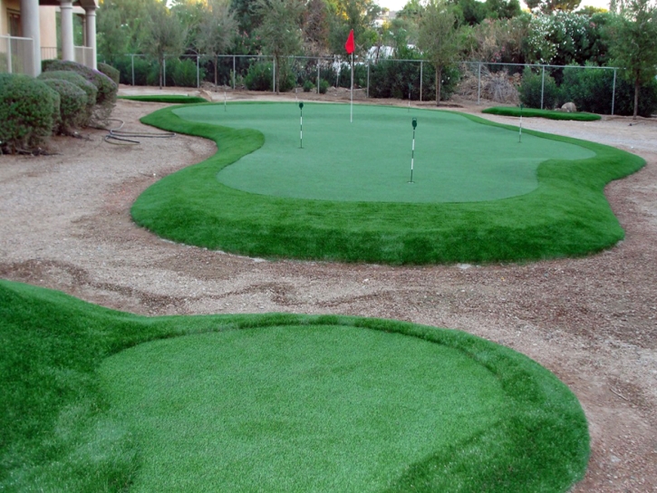 Outdoor Carpet Arivaca Junction, Arizona Putting Green, Backyard Makeover