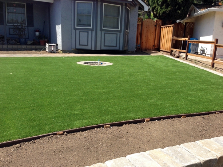 Outdoor Carpet Bear Flat, Arizona Lawn And Garden, Front Yard Ideas