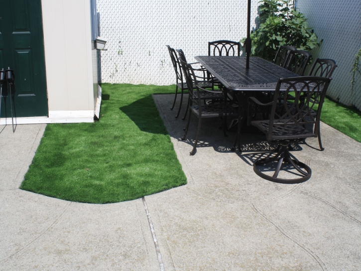 Outdoor Carpet Clay Springs, Arizona Roof Top, Backyards