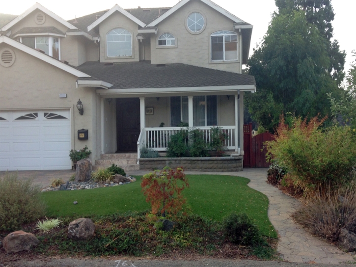 Outdoor Carpet Fountain Hills, Arizona Gardeners, Front Yard Design