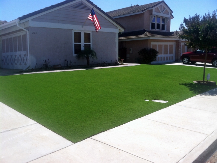 Outdoor Carpet Gisela, Arizona Landscape Design, Front Yard Ideas