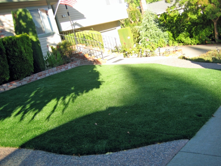 Outdoor Carpet Heber-Overgaard, Arizona Backyard Playground, Front Yard Ideas