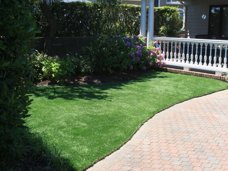 Outdoor Carpet Pine, Arizona City Landscape, Front Yard