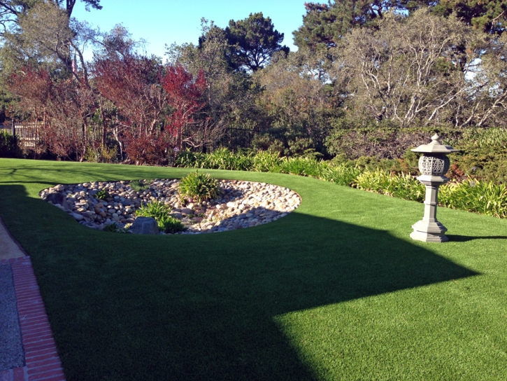 Plastic Grass Benson, Arizona Landscape Rock, Backyard Landscaping Ideas