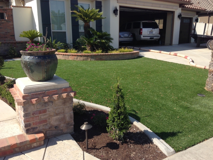 Plastic Grass Buckeye, Arizona Rooftop, Front Yard