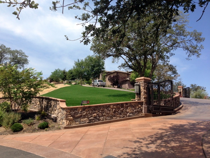 Plastic Grass Sun City West, Arizona Landscape Ideas, Small Front Yard Landscaping