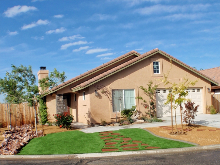 Plastic Grass Surprise, Arizona Gardeners, Front Yard Landscaping