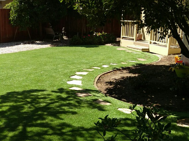 Plastic Grass Three Points, Arizona Gardeners, Backyard Ideas