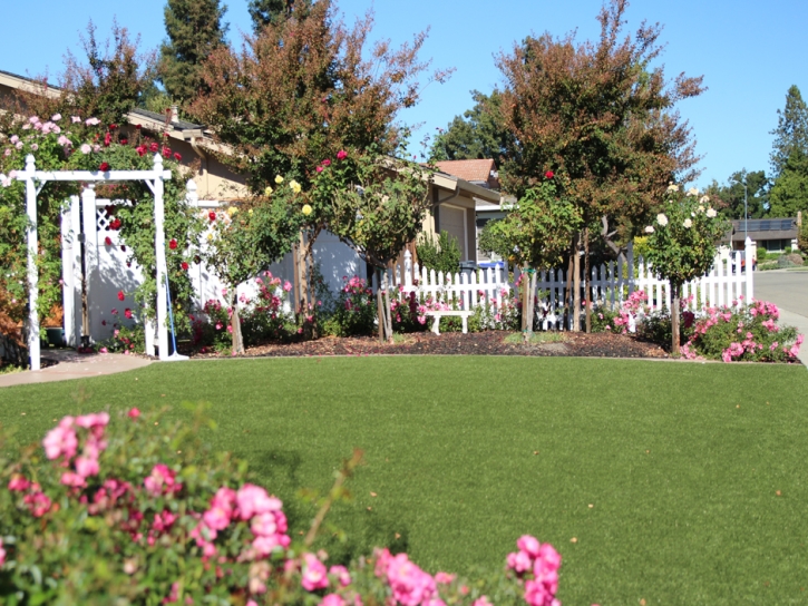 Plastic Grass Verde Village, Arizona Paver Patio, Front Yard Landscaping Ideas