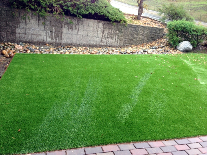 Plastic Grass Yarnell, Arizona Dog Hospital, Small Backyard Ideas